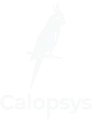 www.calopsys.fr